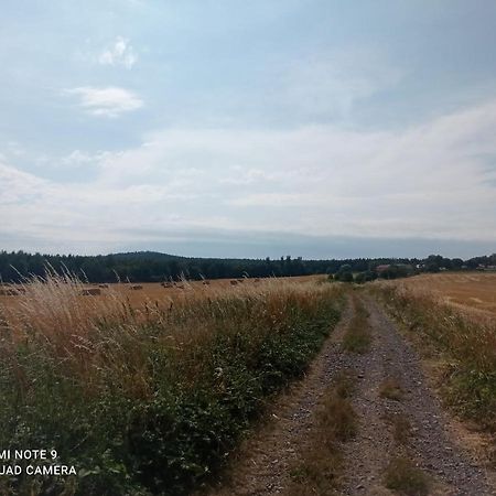 Apartmany Skala Příbram Esterno foto
