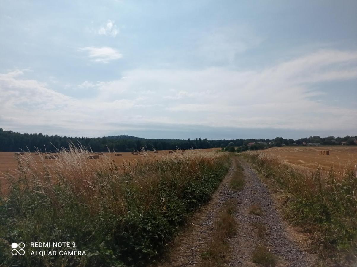 Apartmany Skala Příbram Esterno foto